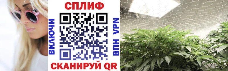 Где продают наркотики Всеволожск СОЛЬ Меф мяу мяу Кокаин Амфетамин Бошки Шишки ГАШИШ