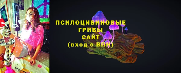 мескалин Арсеньев