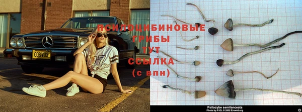СК Армянск