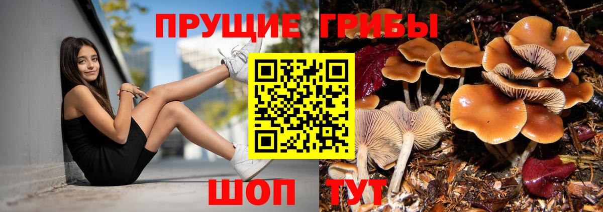 Псилоцибиновые грибы Magic Shrooms  даркнет сайт  Всеволожск 