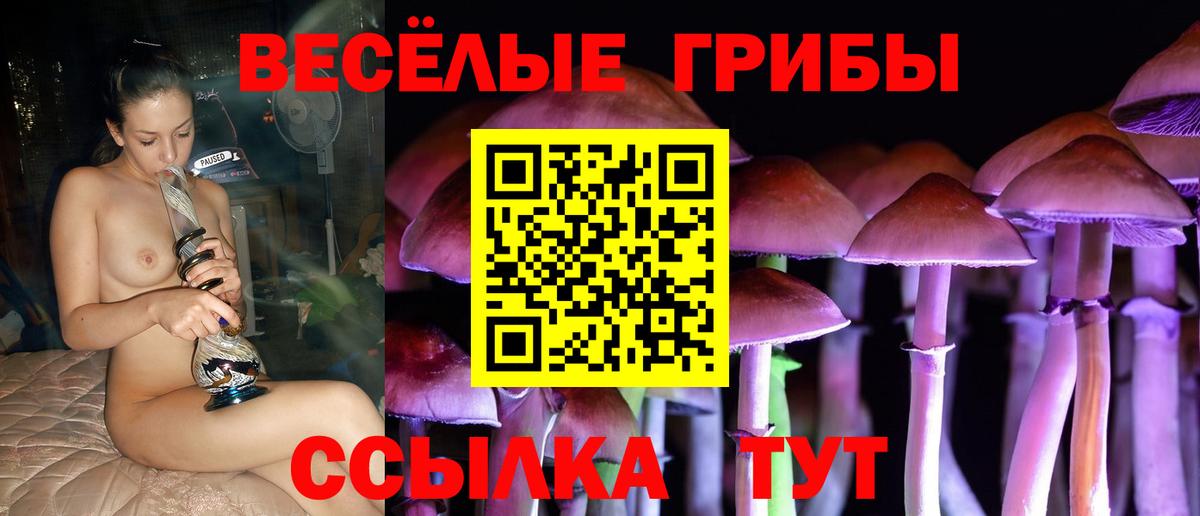 Псилоцибиновые грибы Cubensis  Псилоцибиновые грибы мухоморы  Всеволожск  Вход с VPN 