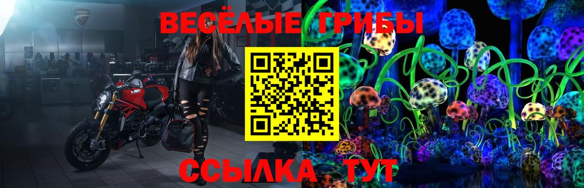 Галлюциногенные грибы мухоморы Всеволожск